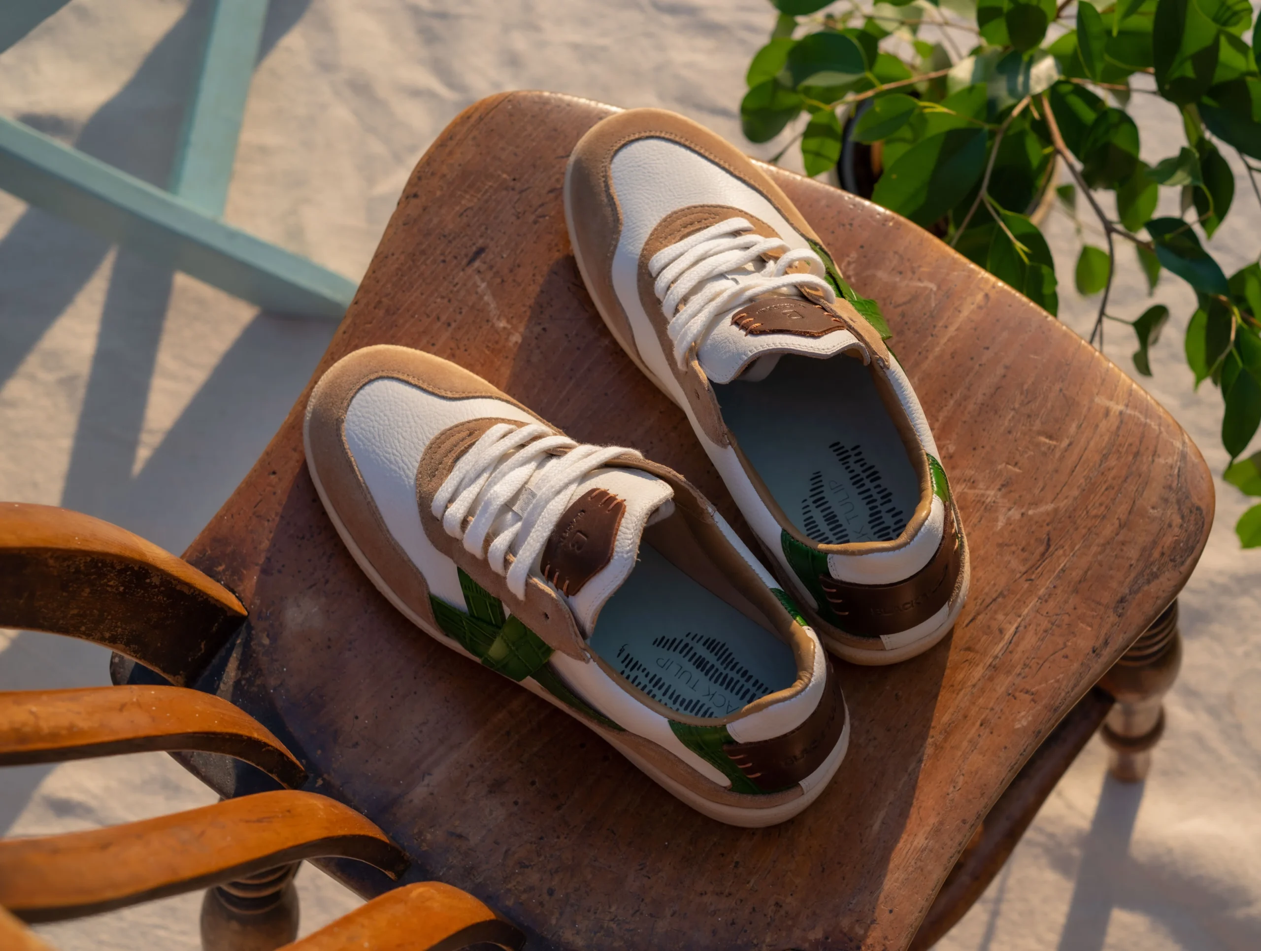 Top Gift Ideas for the Holiday Season